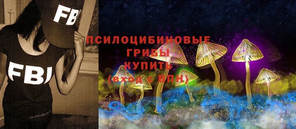 трава Нязепетровск