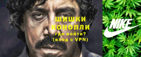 Альфа ПВП Новозыбков