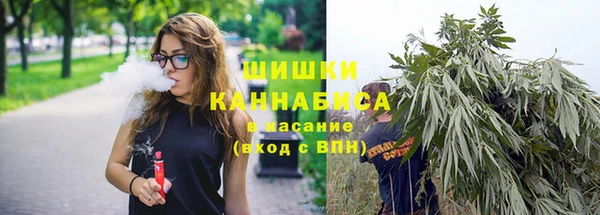 Альфа ПВП Новозыбков