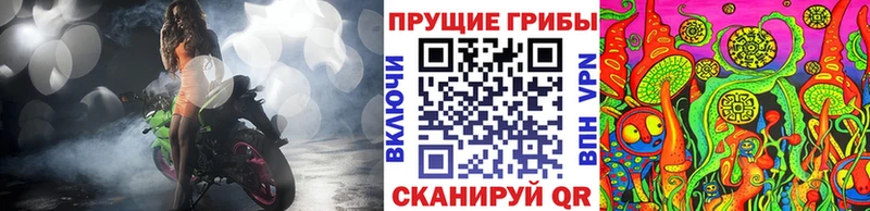Галлюциногенные грибы Psilocybe  ОМГ ОМГ tor  Родники 