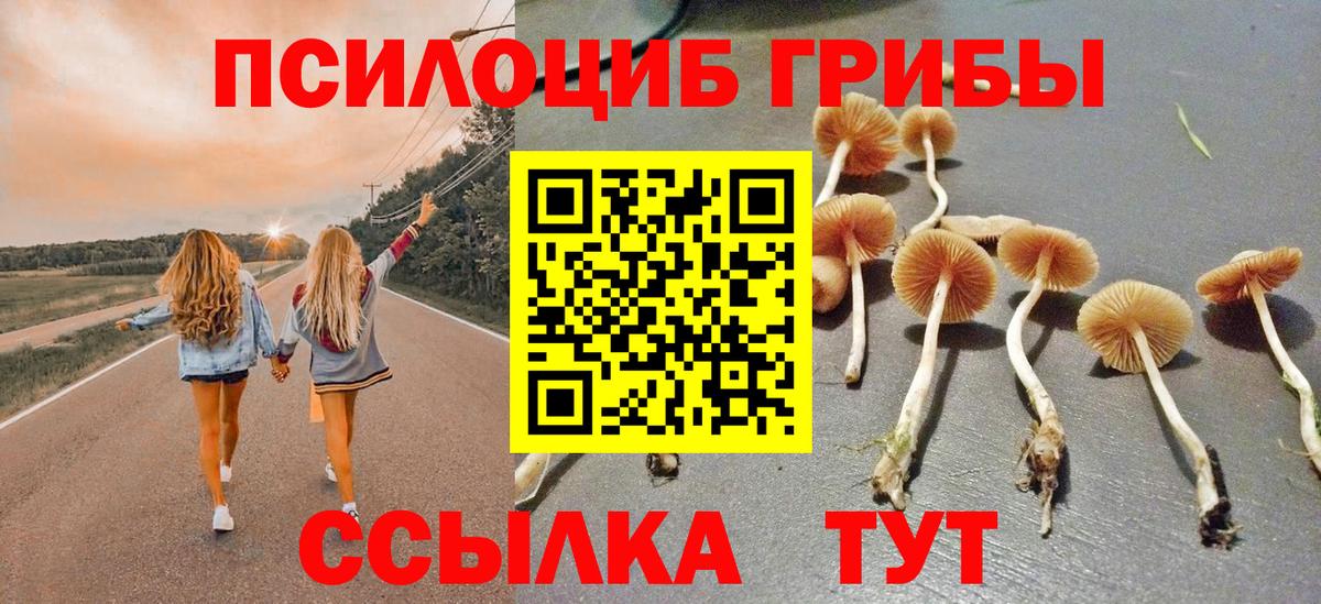 Галлюциногенные грибы Cubensis Родники