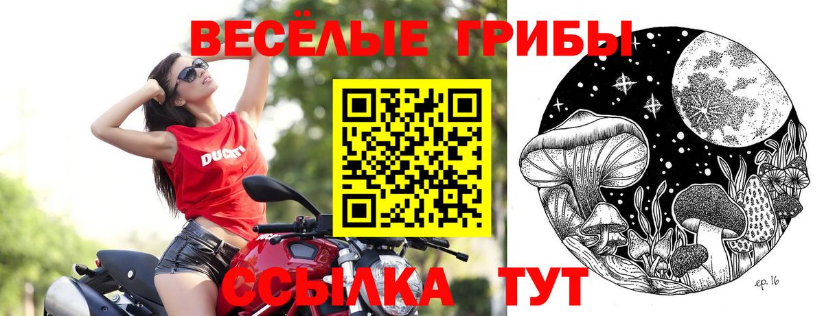 Галлюциногенные грибы Psilocybine cubensis Родники